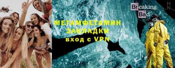 прущие грибы Михайловск
