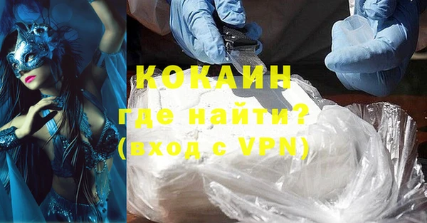 прущие грибы Михайловск