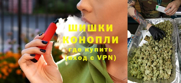 прущие грибы Михайловск