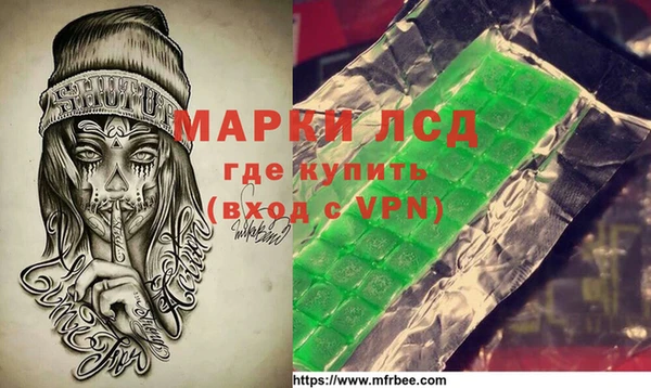 прущие грибы Михайловск