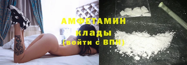 прущие грибы Михайловск