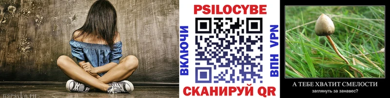 сколько стоит  Дубна  Галлюциногенные грибы MAGIC MUSHROOMS 