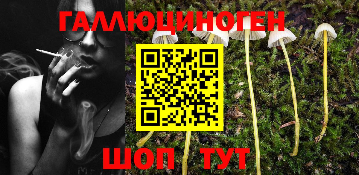 Дубна  Галлюциногенные грибы Psilocybe  сколько стоит  Вход с VPN 