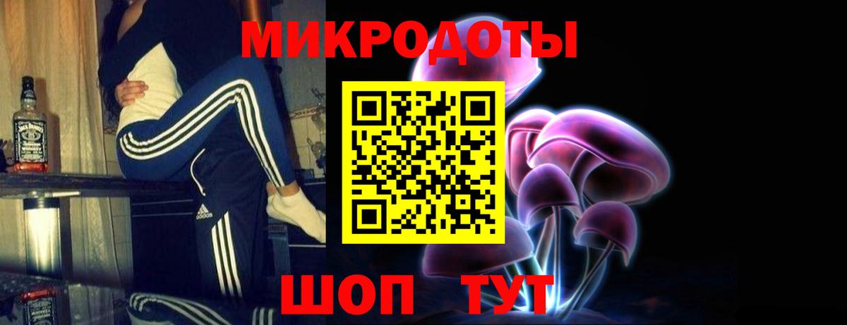 Псилоцибиновые грибы Psilocybine cubensis Дубна